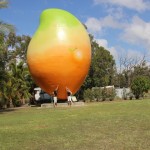 1 - Riesenmango am Eingang von Bowen