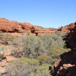 4 - Garden of Eden - Kings Canyon