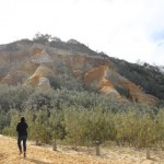 5 - The Pinnacles Coloured Sands